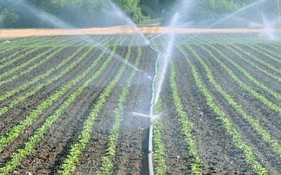 micro irrigation system