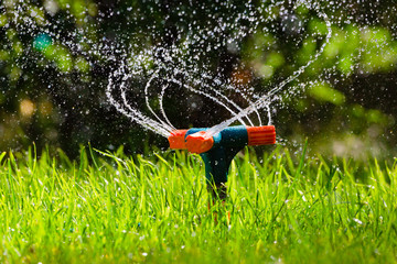 Sprinkler Irrigation System