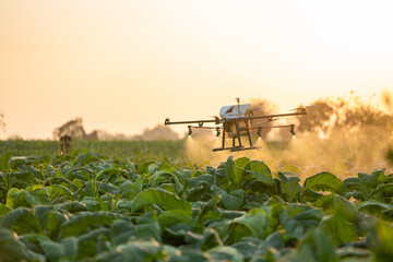 Precision Farming